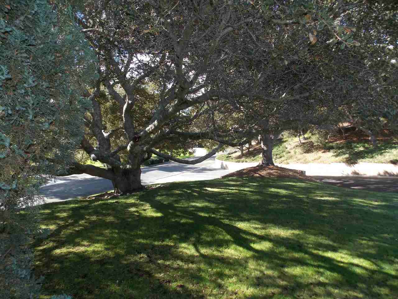 73 Stanford Cir - Photo 2 of 19