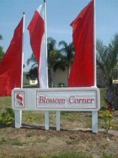 Blossom Corners Apartments - Photo 3 of 13