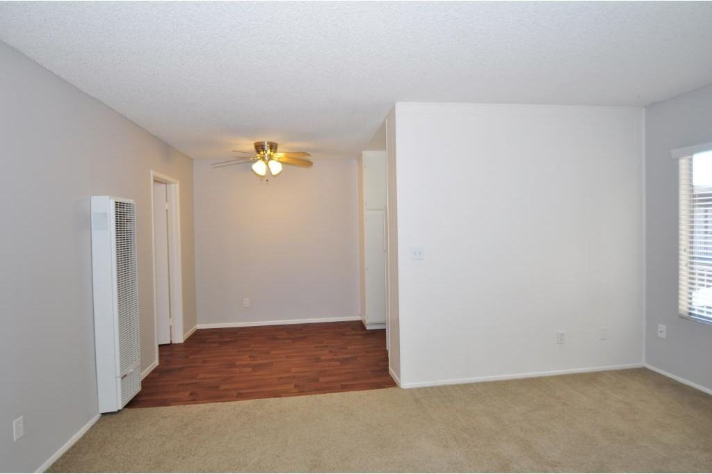 Trade Winds - Photo 3 of 19