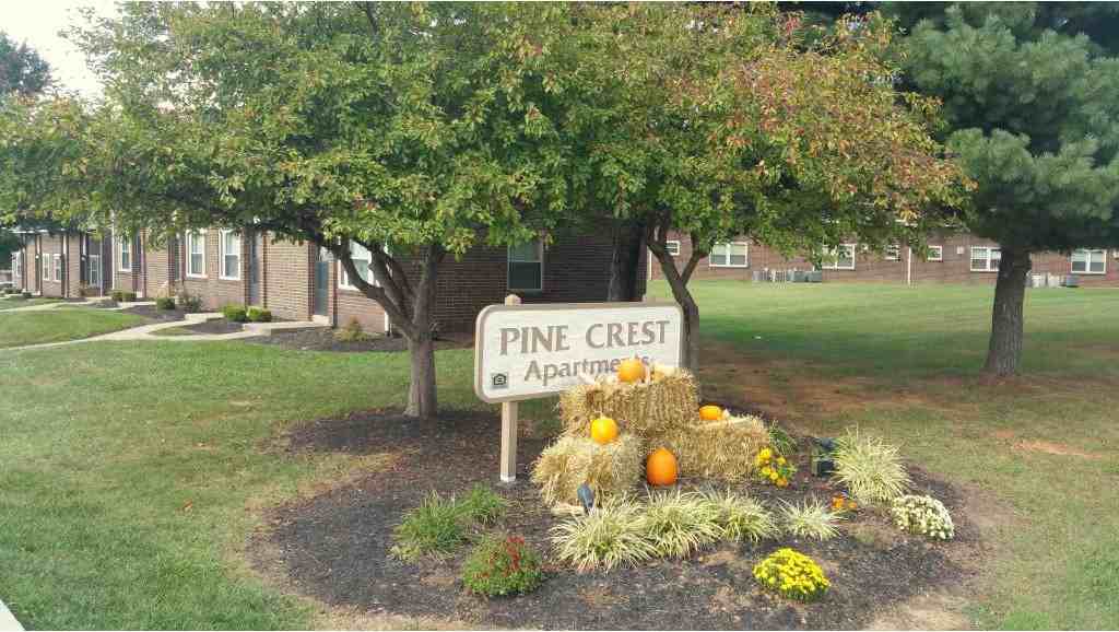 Pine Crest Apartments - Photo 2 of 20