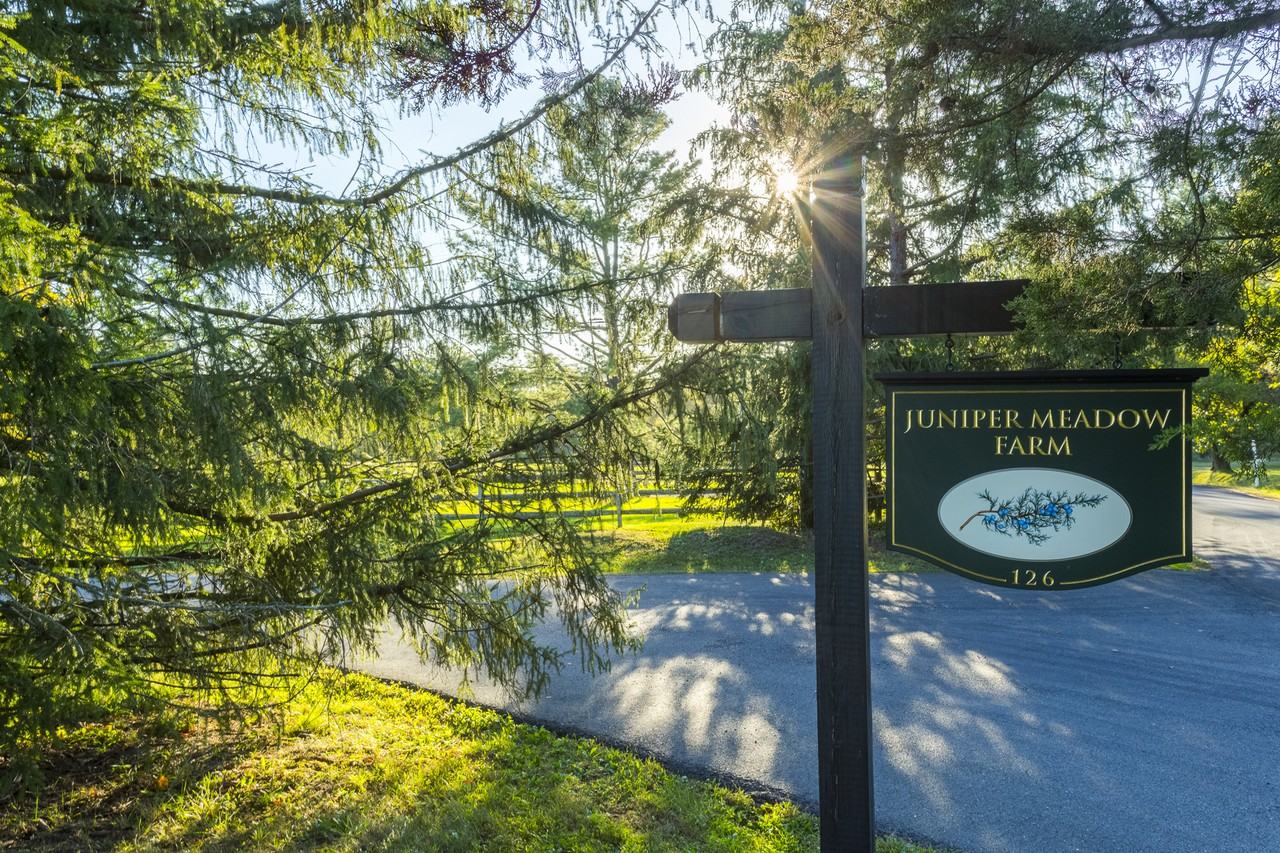 126 Moores Mill Mt Rose Rd - Photo 3 of 34