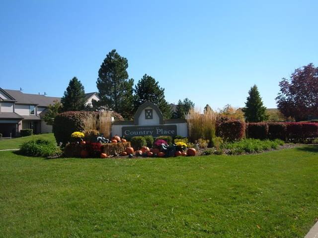 965 Sumac Ct - Photo 2 of 17