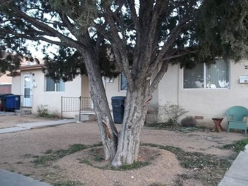 4804 Grand Ave NE - Photo 2 of 16