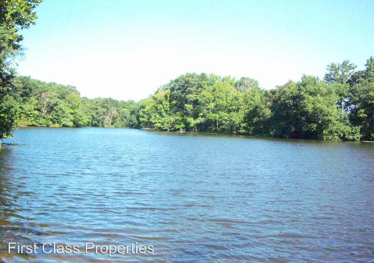 202 Lake Cove Ln - Photo 2 of 19