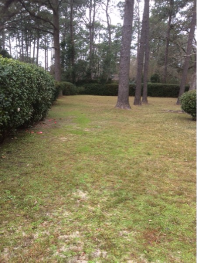 1121 Chalet Dr E - Photo 2 of 4