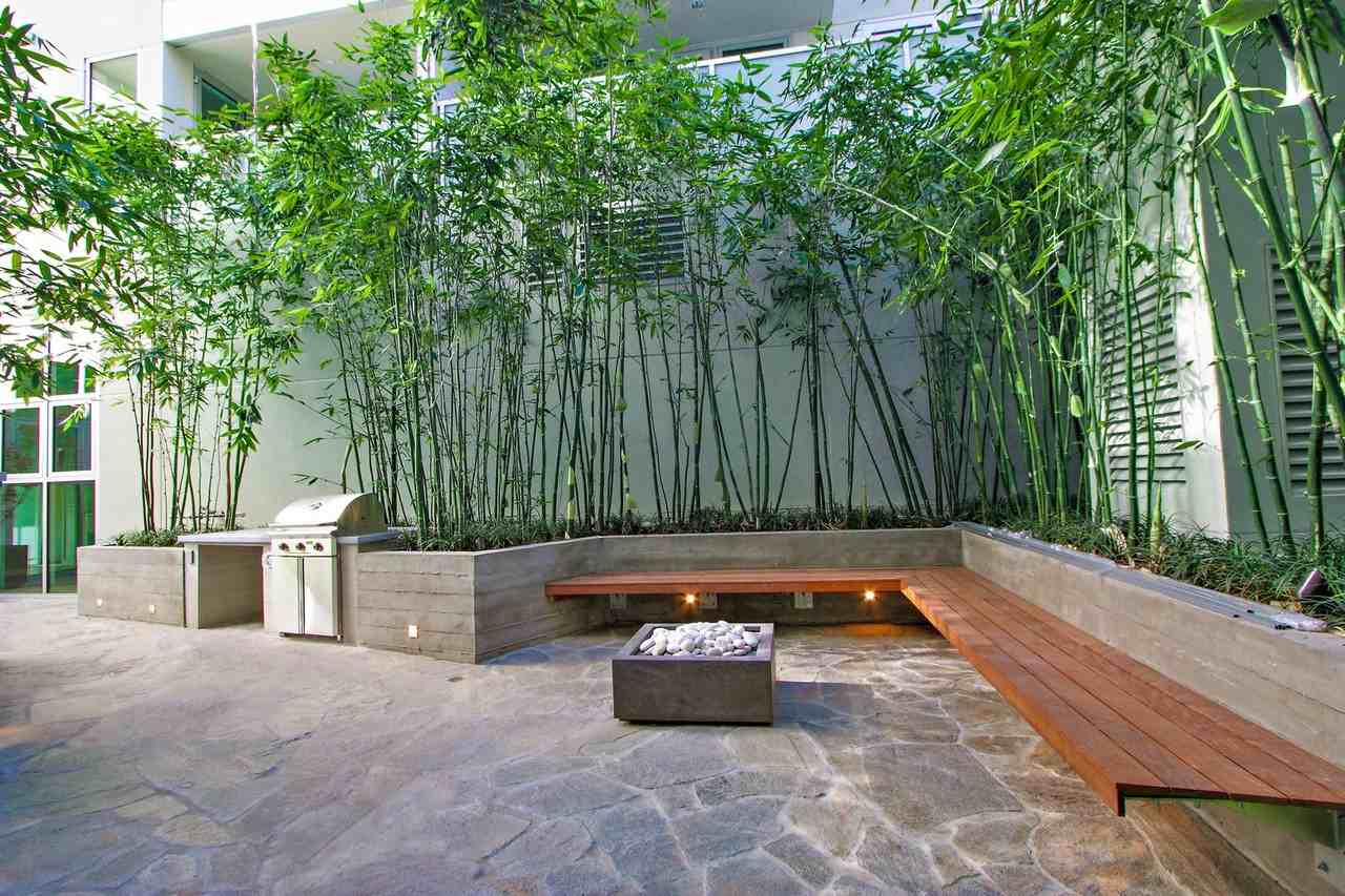 Chelsea - Photo 2 of 47