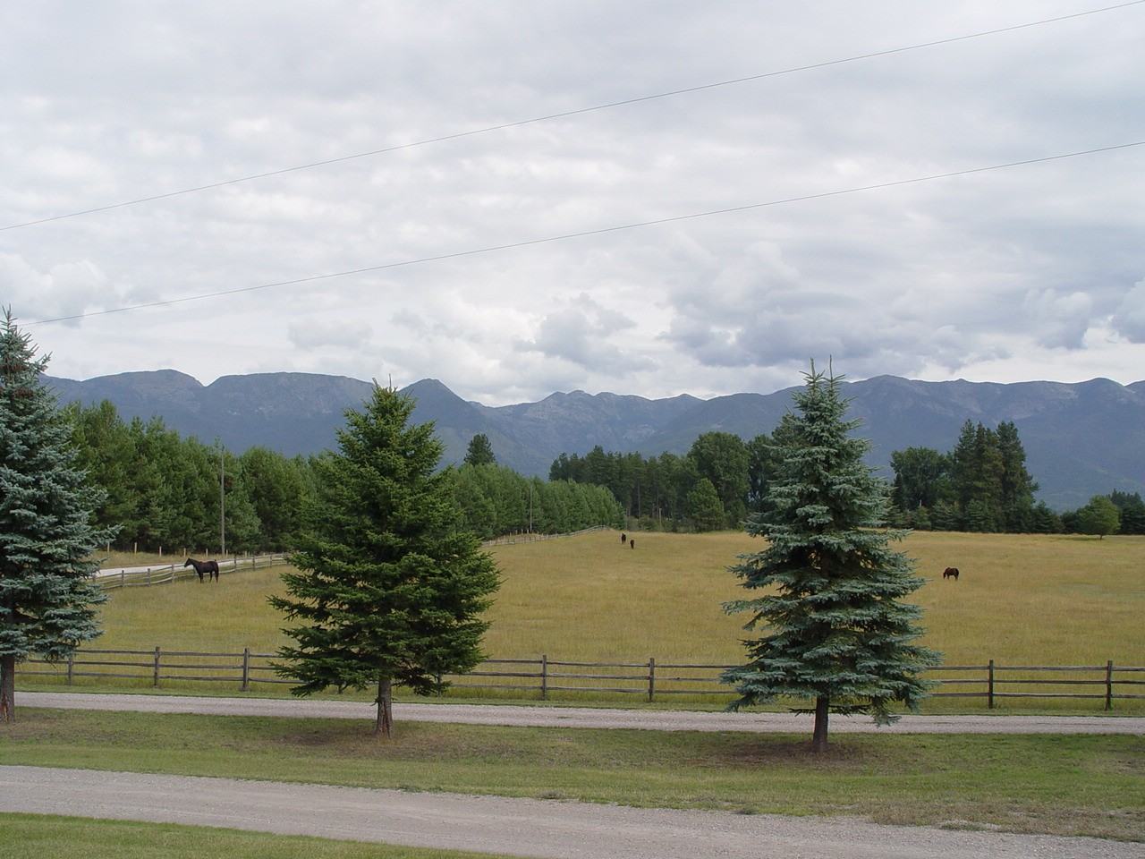 410 Lee Rd - Photo 3 of 3