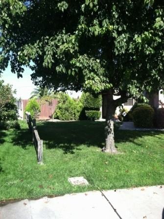 4421 Quiet Wood Ct - Photo 2 of 8