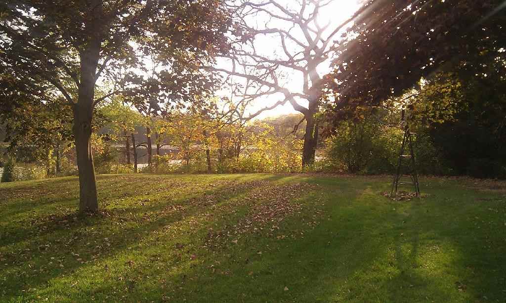 241 Killdeer Ct - Photo 2 of 8