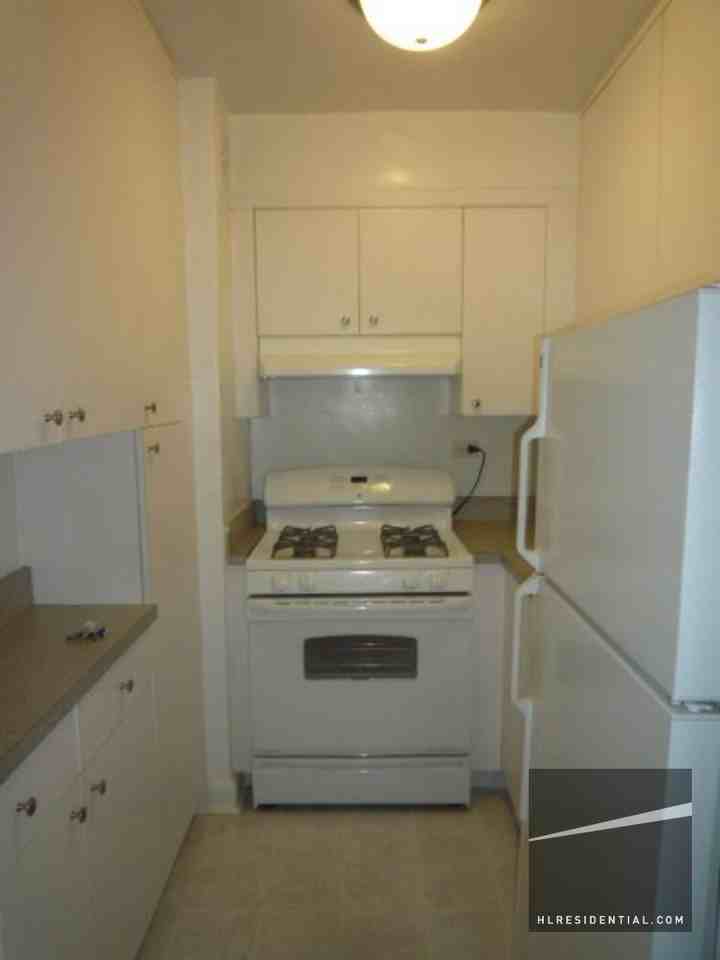 1123 East 13th Street FL7D - Photo 2 of 5