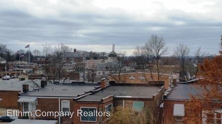 4250-4252 Neosho  4602-4604 Morganford - Photo 2 of 11