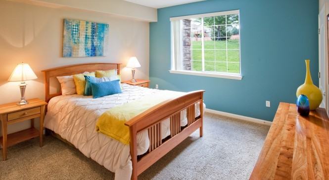 Champions at Nor'wood - Photo 3 of 15