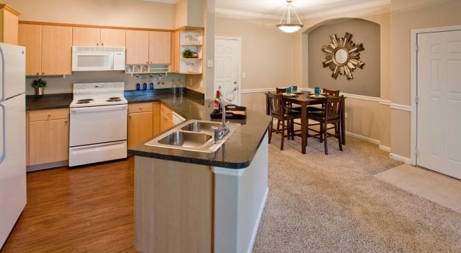 Champions at Nor'wood - Photo 2 of 15