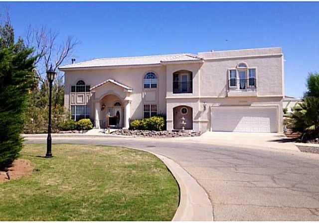 4536 Globe Willow Dr - Photo 2 of 19