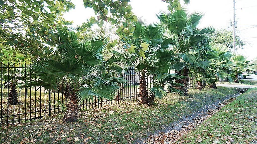 10139 Algiers Rd - Photo 2 of 29