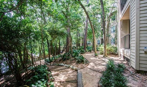 1207 South Dairy Ashford Road - Photo 7 of 10