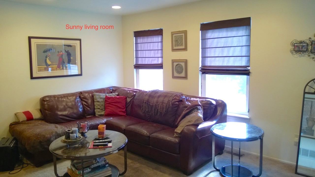 201 Birch Drive - Photo 3 of 19