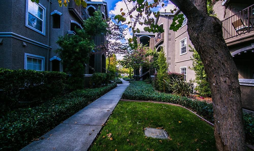 Hawthorn Village - Photo 2 of 9