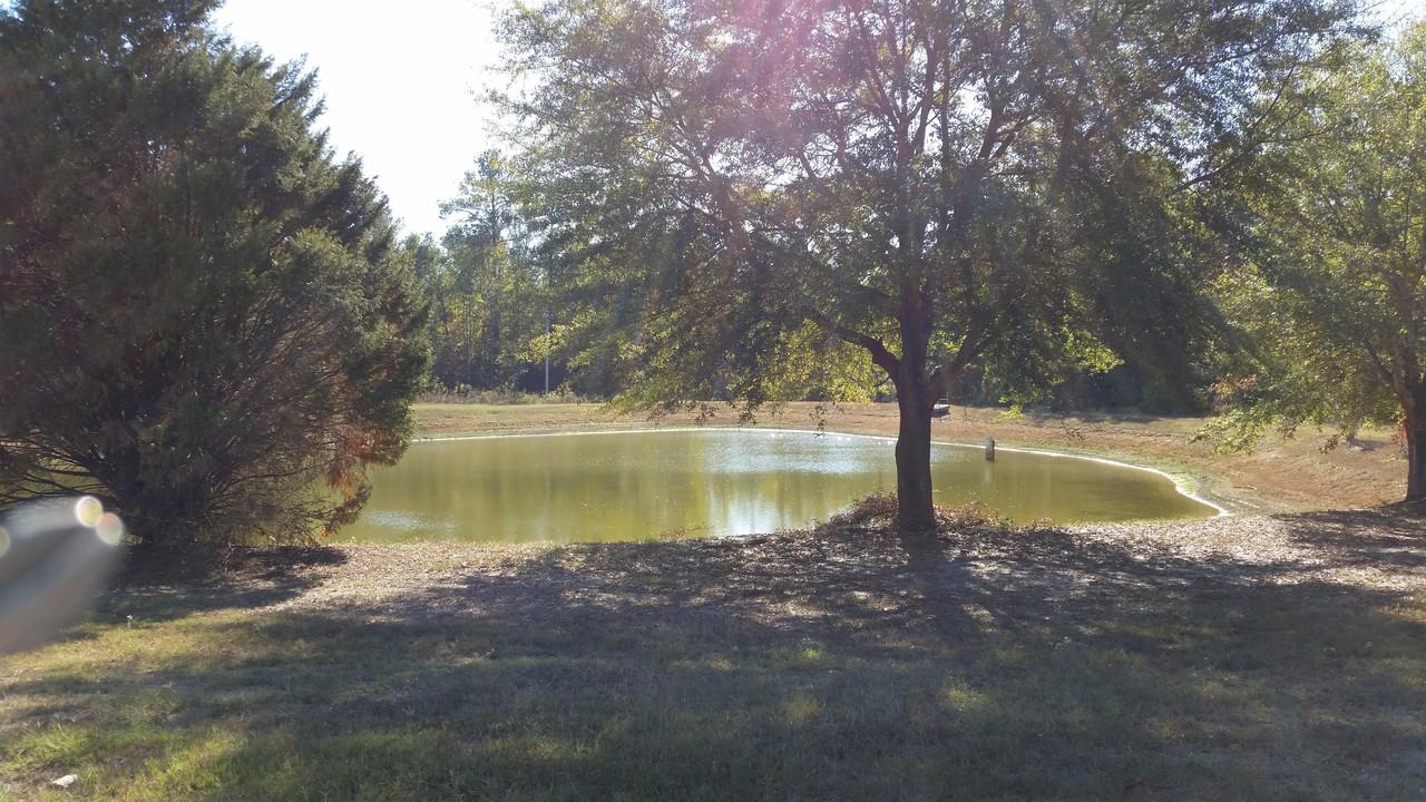 155 Cottonton Rd - Photo 2 of 4