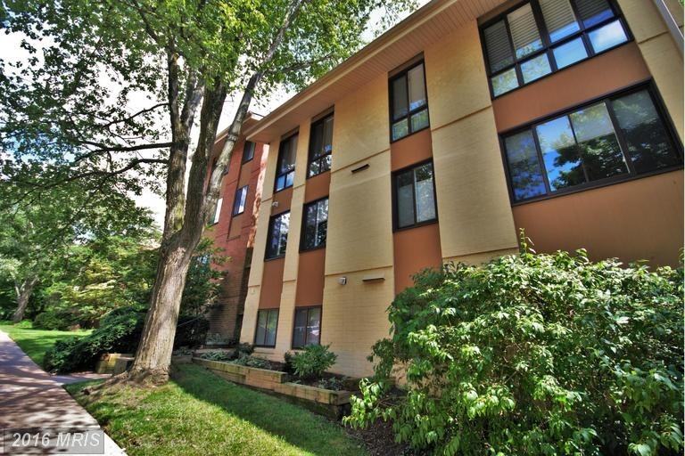 1 Hamill Rd #1C - Photo 2 of 22