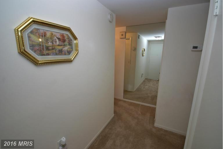 1 Hamill Rd #1C - Photo 3 of 22