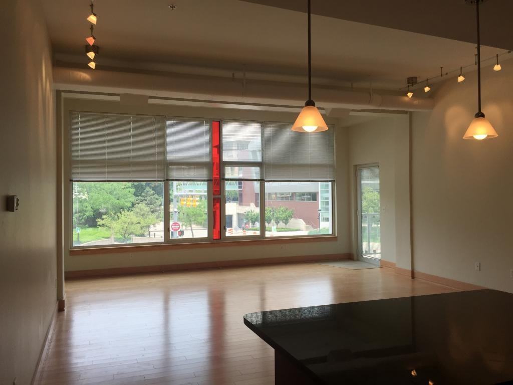 University Lofts - Photo 3 of 19