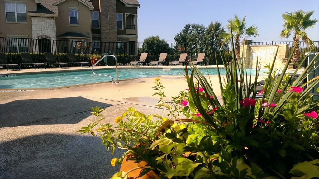 Oxford at Iron Horse - Photo 3 of 22