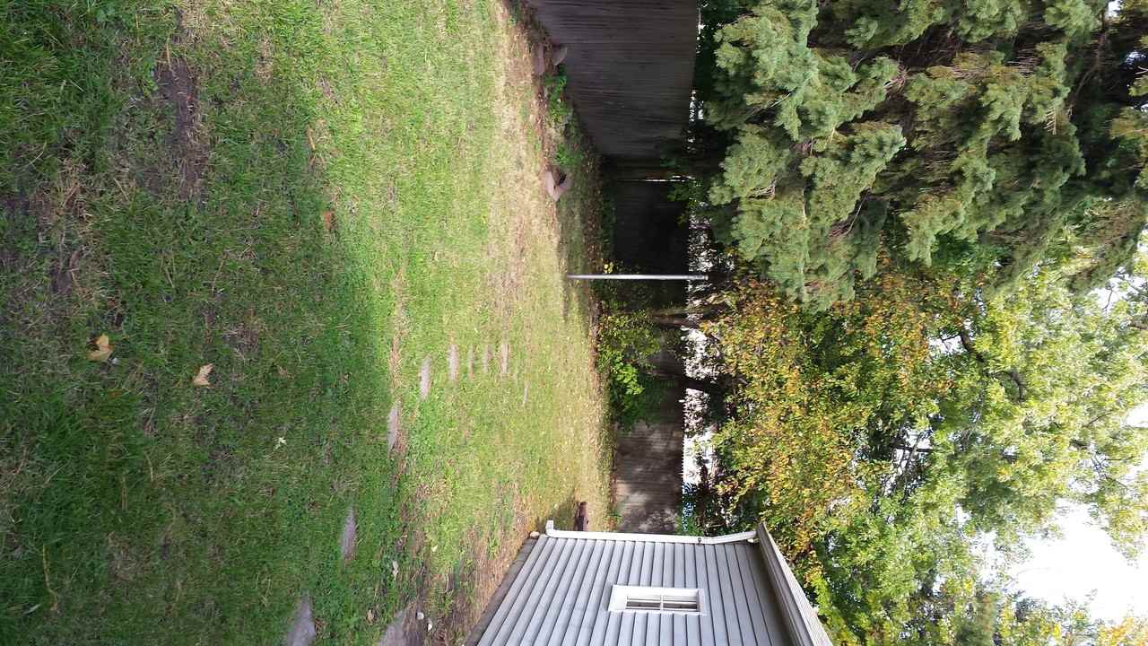 316 W 3rd St - Photo 3 of 20