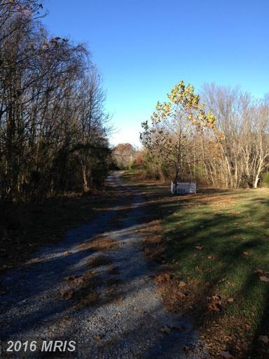 4443 Shepherd Grade Rd - Photo 3 of 3