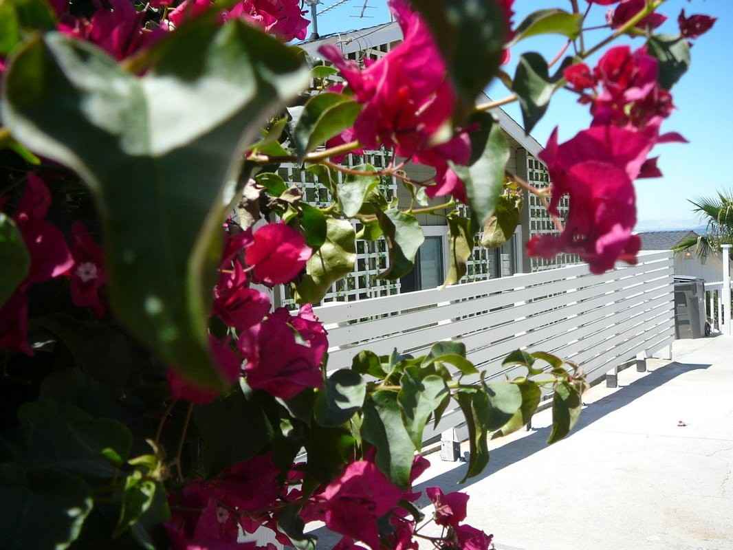 2055 Altamont Rd - Photo 2 of 49