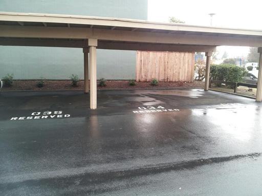 2015 Alta Loma St - Photo 3 of 17