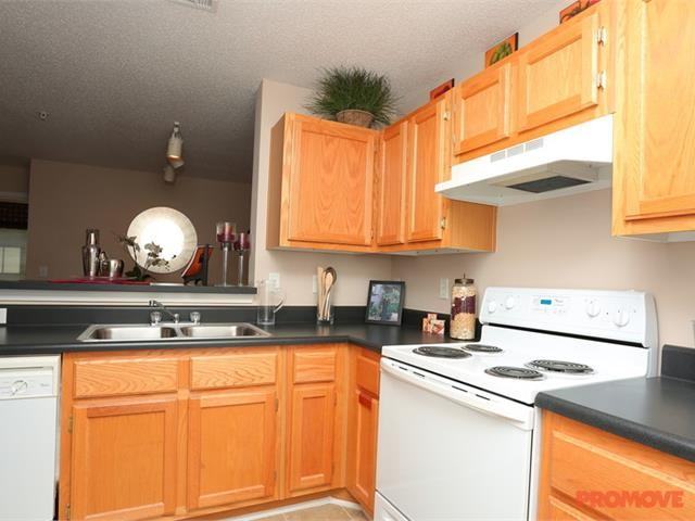 Glenwood Vista - Photo 3 of 10