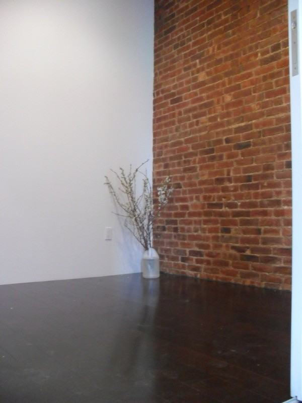 46 Grand St #5FV