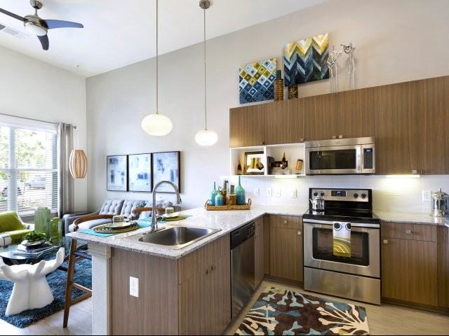 S Lamar Blvd & Dickson Dr #1039 - Photo 4 of 10