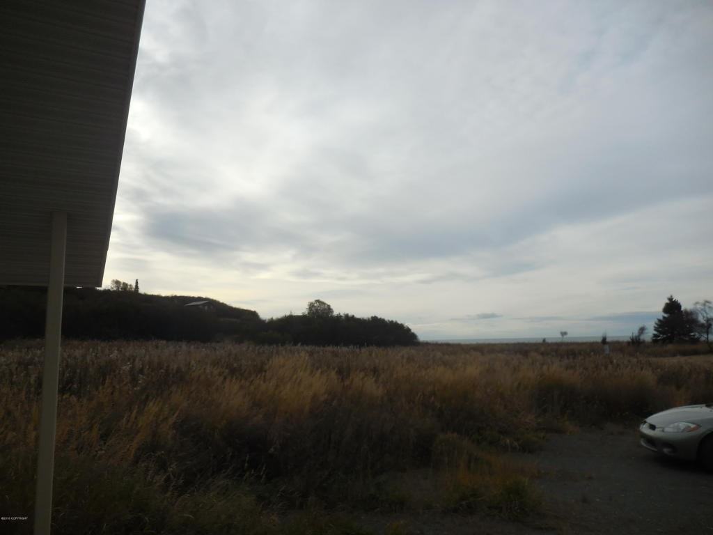 22310 Becharof Cir - Photo 2 of 14