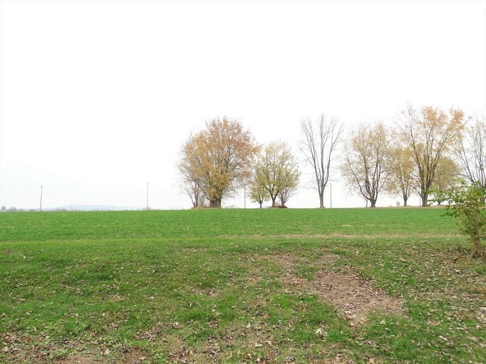 317 Glenbrook Rd - Photo 3 of 14