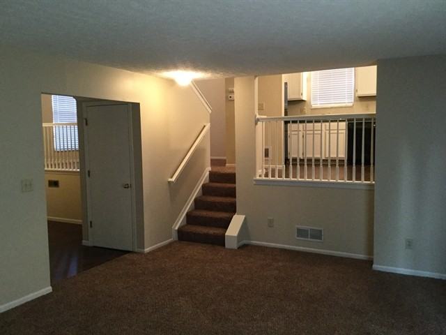 3509 Steiner St - Photo 3 of 14