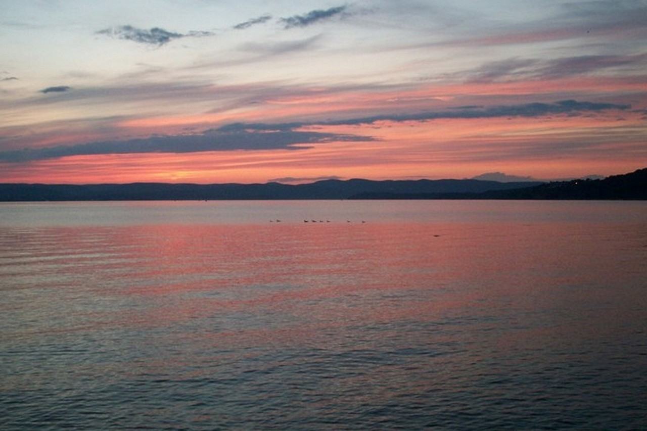 610 Half Moon Bay Dr - Photo 2 of 21