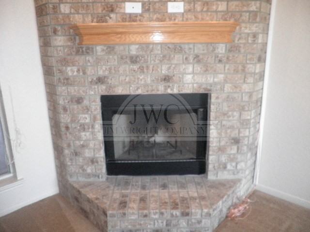 2407 Bachelor Button Blvd - Photo 3 of 13