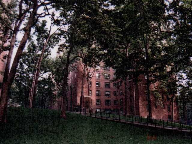 532 E 20th St 10D - Photo 2 of 2