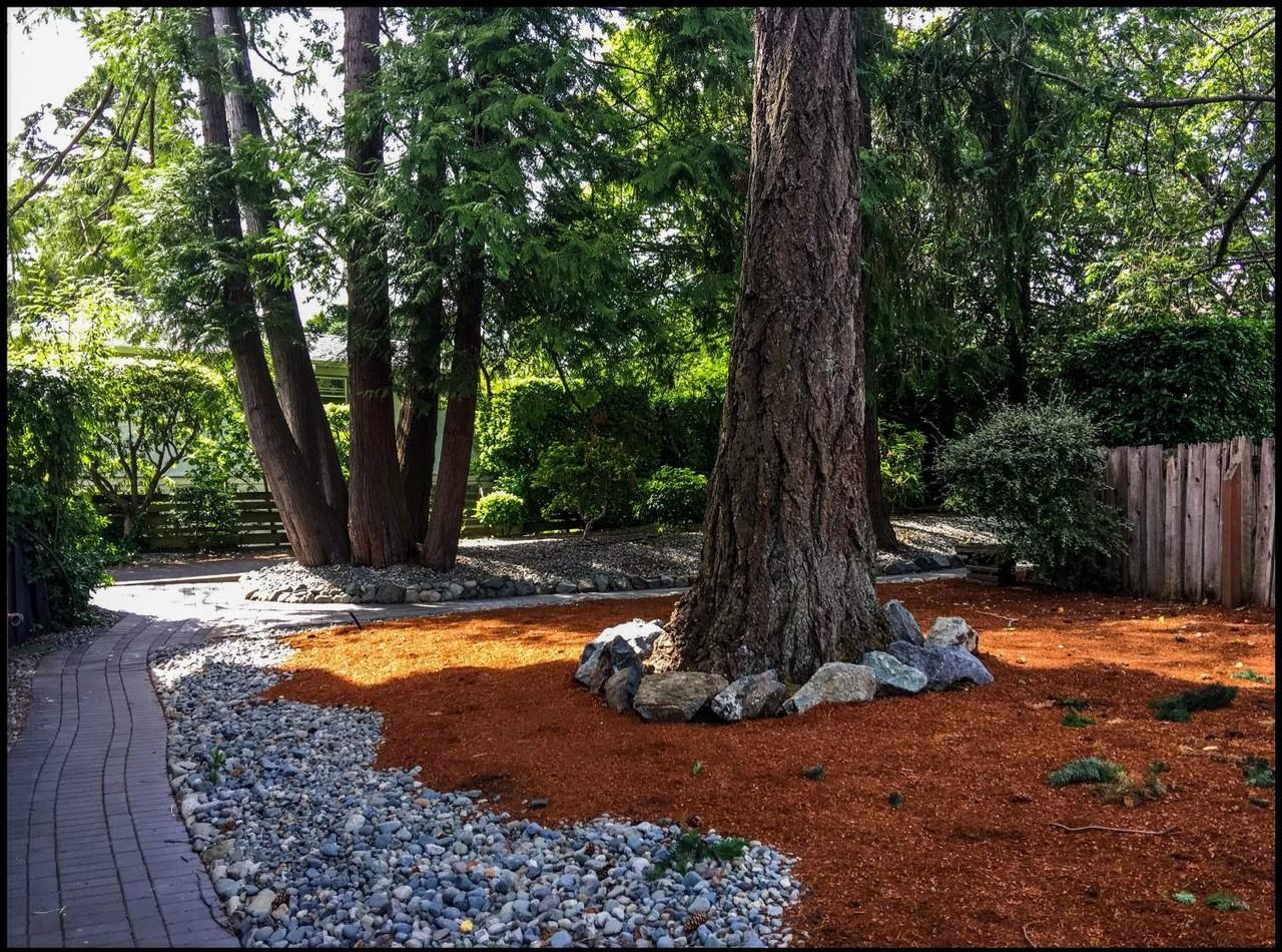 835 Dunsmuir Rd - Photo 3 of 12