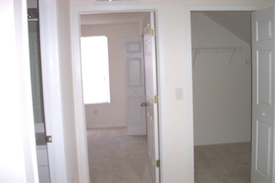 2816 Prairie Iris Dr - Photo 3 of 15