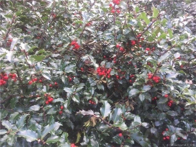 9 Ellen Ln - Photo 2 of 24