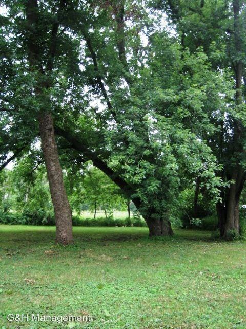 1135 5th Ave SW - Photo 2 of 11