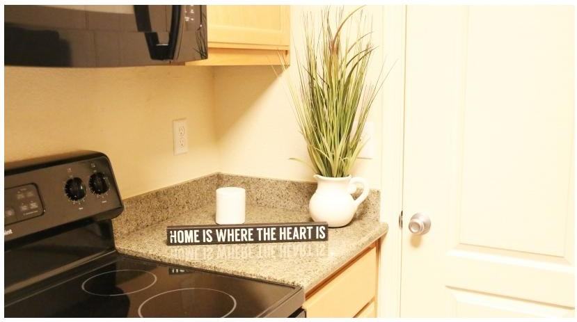 Live Oak - Photo 3 of 19