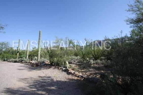 6932 N Table Mountain Rd - Photo 2 of 25