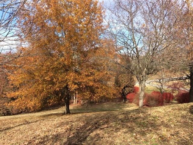 9399 Clovercroft Rd - Photo 2 of 14