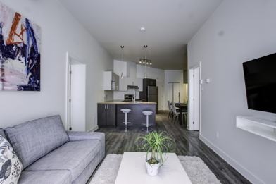 460 Rue Saint Charles Ouest 213 Longueuil Qc J4h 1g4 1 Bedroom Apartment For Rent For 1 000 Month Zumper