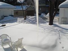 3740 Garfield Ave - Photo 3 of 20