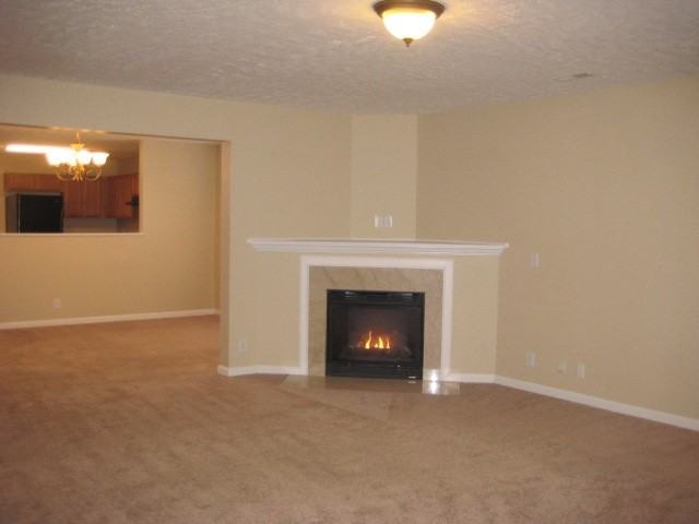 3628 Coles Branch Dr - Photo 3 of 18